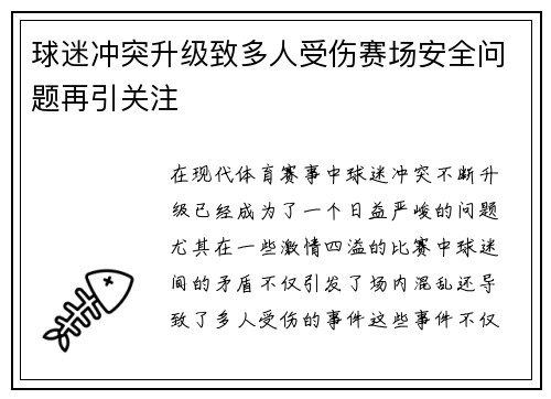 球迷冲突升级致多人受伤赛场安全问题再引关注