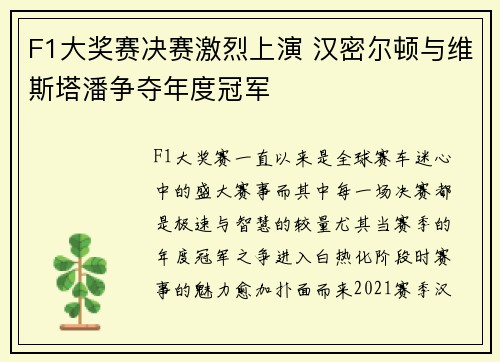 F1大奖赛决赛激烈上演 汉密尔顿与维斯塔潘争夺年度冠军