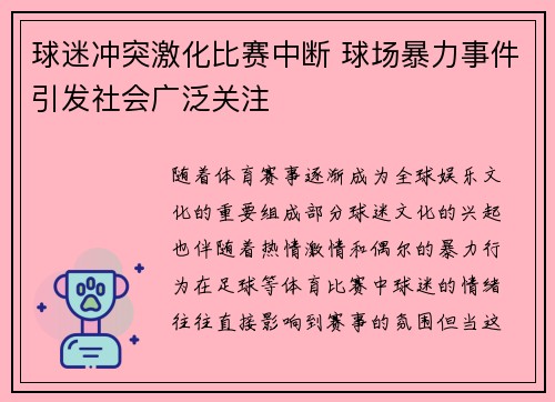 球迷冲突激化比赛中断 球场暴力事件引发社会广泛关注